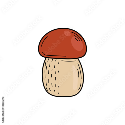 Cute edible mushroom in doodle style. Ingredients for cooking, salads. Autumn plant harvesting. Vector hand illustration
