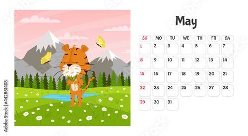 Horizontal desktop calendar page template for May 2022 with a cartoon tiger symbol of the Chinese year. The week starts on Sunday. Tiger sniffs daisies in the field