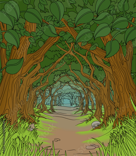 Forest Background Fairytale Woodland Trees Tunnel