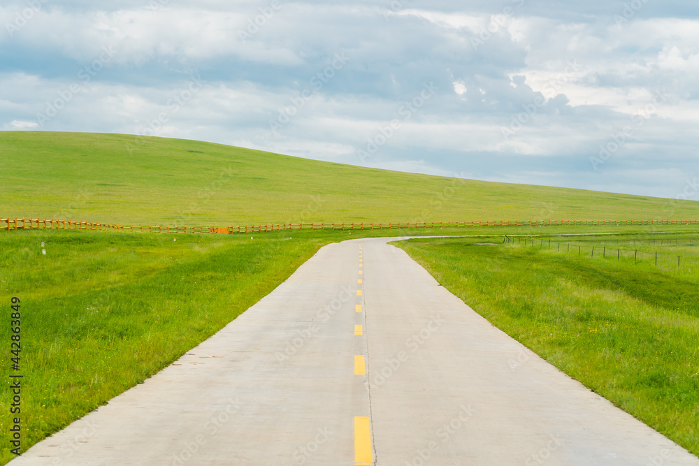 Fototapeta premium A highway road on Hulunbuir Grasslands, China, summer time.