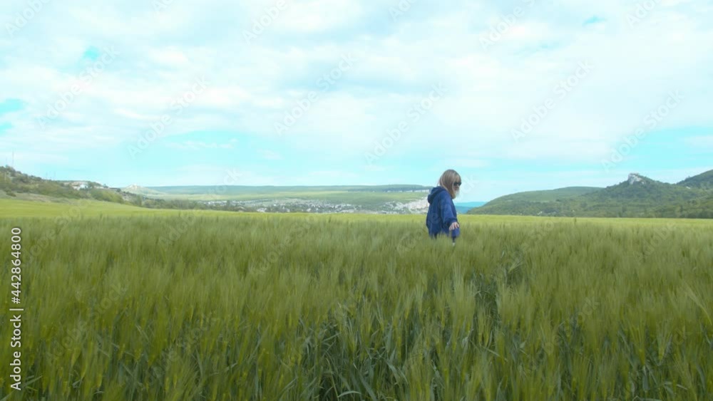 Woman walks through a wheat field at sunset, touching green ears of wheat with his hands. Agricultural business. A field of ripening wheat in warm sun. Young business woman inspects her field. Woman walks through a wheat field at sunset, touching green ears of wheat with his hands. Agricultural business. A field of ripening wheat in warm sun. Young business woman inspects her field.