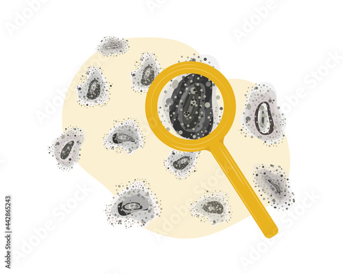 black mold concept. Aspergilloma black colony. Allergenic spots of toxic fungus through a magnifying glass. Vector illustration, flat