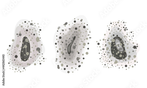 Black mold spots. Set of different shapes. Black fungus outbreak. Toxic mold spores. Bacterium and fungus, source of infection. Vector illustration, flat