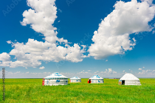 The traditional Mongolian tents on the Hulunbuir grassland in Inner Mongolia, China. photo