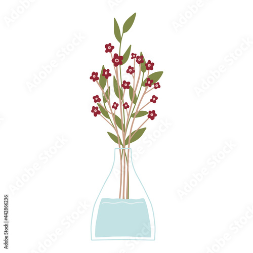 Beautiful blooming composition with leaves and stem isolated on white. Flowering plants and herbs.