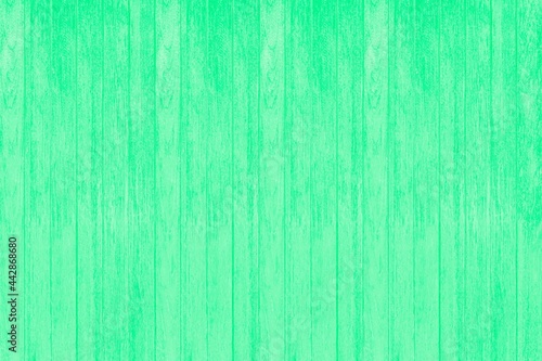 Old green vintage wooden wall pattern and seamless background