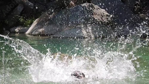 Wallpaper Mural Boy child 7 years old jumping water  of the sea with clear water  Torontodigital.ca