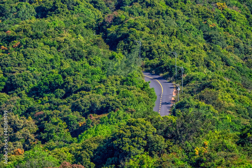 Road Son Tra peninsula, Da Nang Vietnam