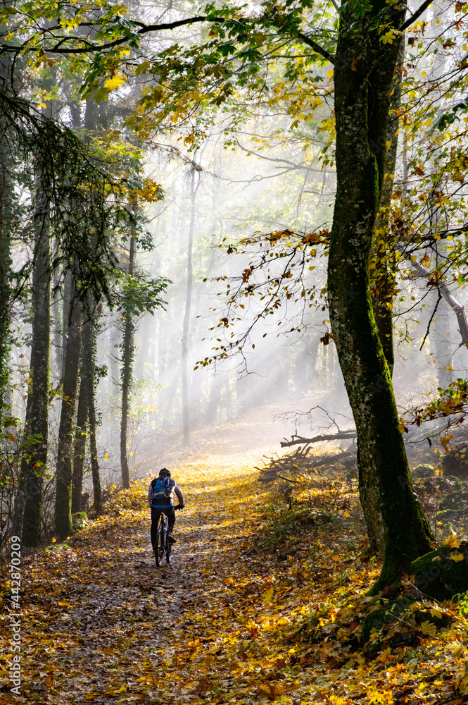 Randonneur à vélo sous le soleil sur un chemin forestier en automne