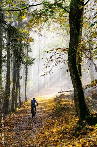 Randonneur à vélo sous le soleil sur un chemin forestier en automne © MARC MEINAU