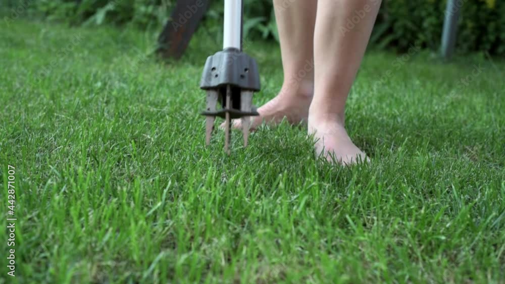 Woman removing weeds with manual weeder tool at his back yard