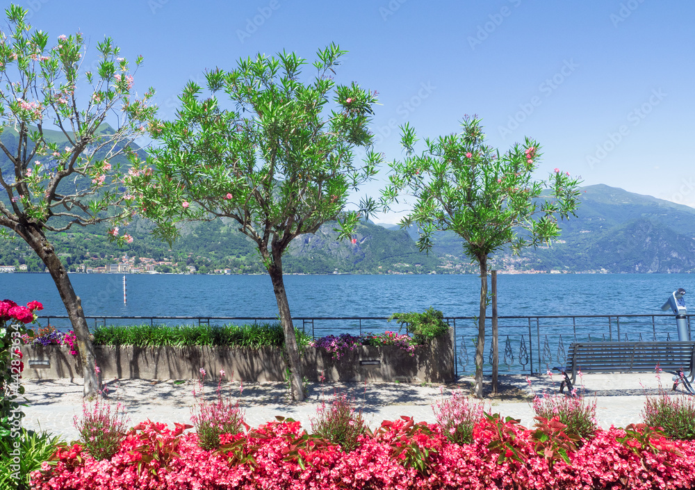 flowered lakefront of Bellagio in beautiful summer day with magnificent blue sky.Como lake, italian lakes, Lombardy, Italy.