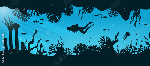 Underwater background, marine habitats, incredible species. Cartoon vector flat-style graphic template