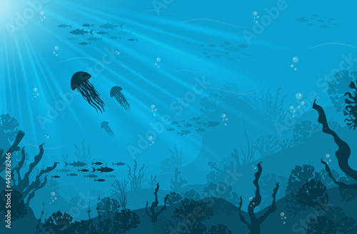 Underwater background, marine habitats, incredible species. Cartoon vector flat-style graphic template