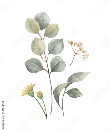Watercolor vector bouquet of with wildflower flowers and leaves.