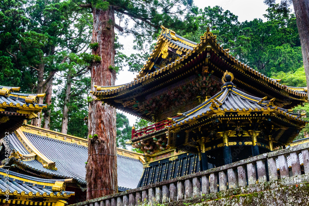 Naklejka premium The Temples and Shrines of Nikko, Japan.