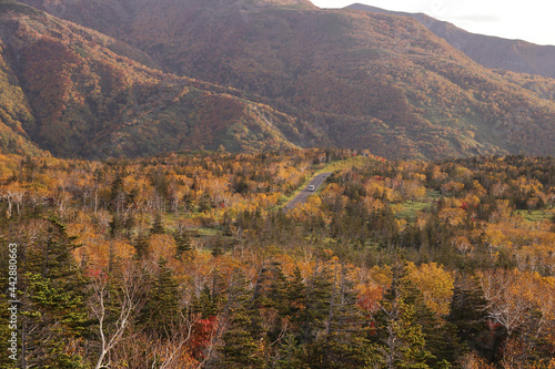知床峠の紅葉とその間を走るトラック © Saitan
