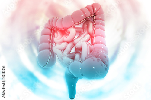 Human colon on scientific background. 3d illustration photo