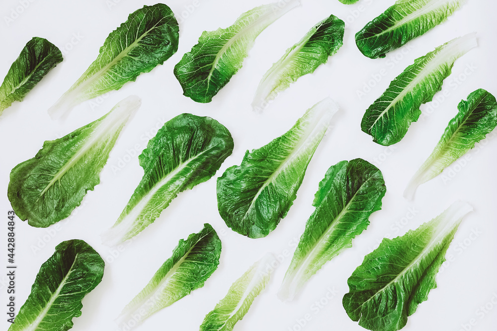 Romaine lettuce leaves top view background. Romaine lettuce leaves top view background.