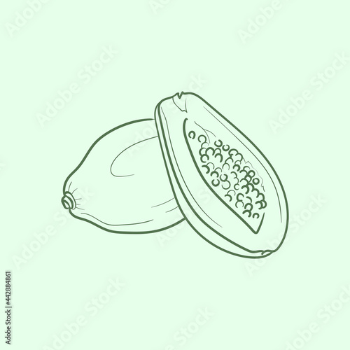 Papaya Line vector illustration. Detailed Food icon for mobile concept, print, menu, and web apps. For for restaurant, bar, vegan, healthy and organic food, market, farmers market.
