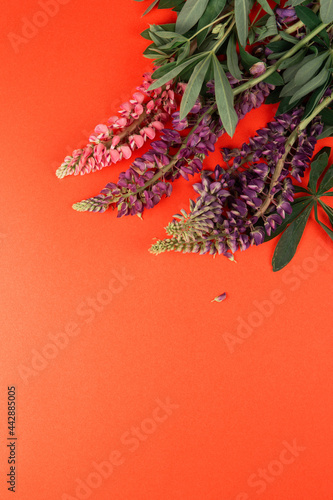 Red paper mockup for text