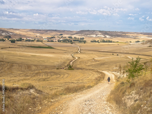 Obraz na plátně Pilgrims walk across the Meseta (central plateau) towards Hornillos del Camino -