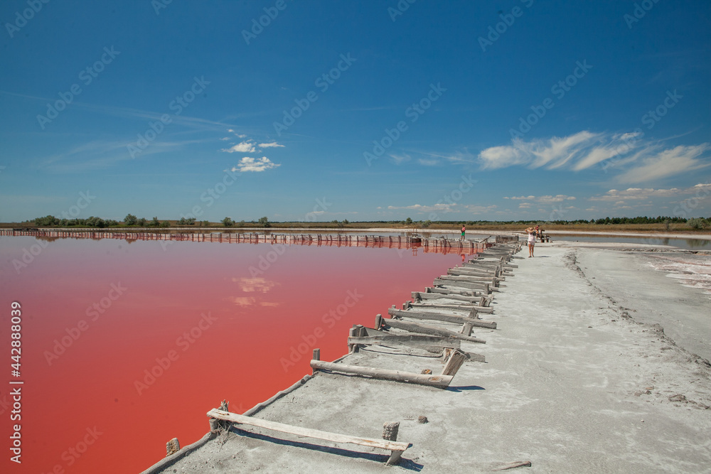 Pink lake located near the Kinburn spit in the Kherson region