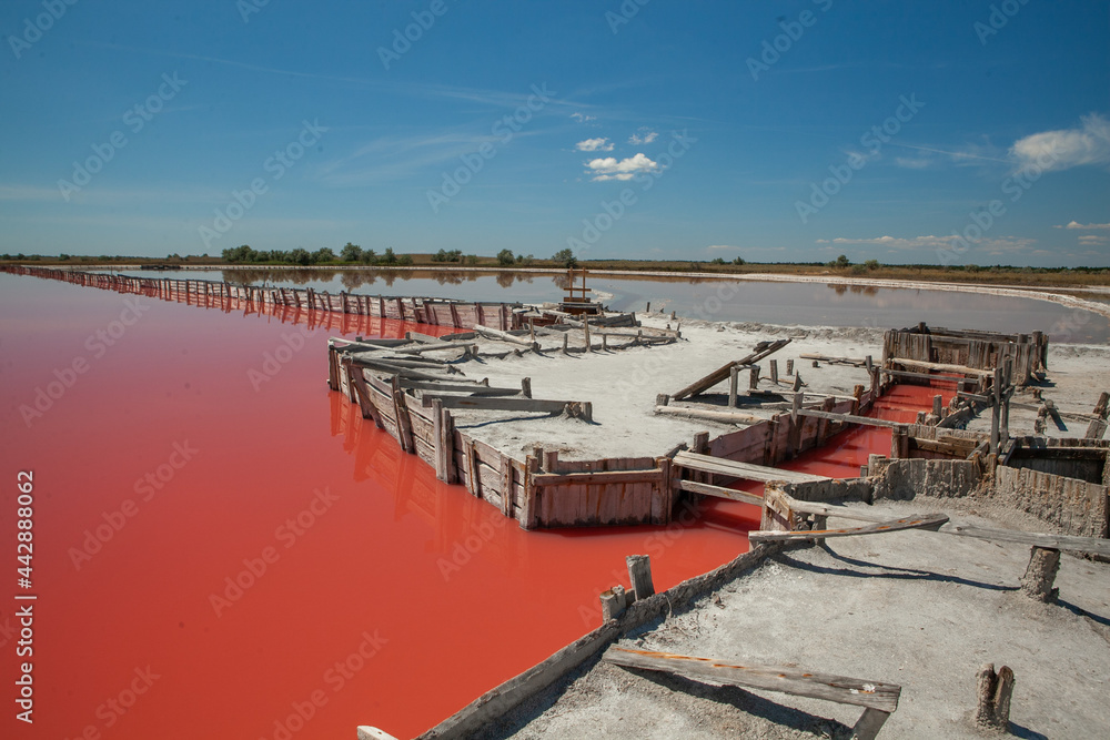 Pink lake located near the Kinburn spit in the Kherson region