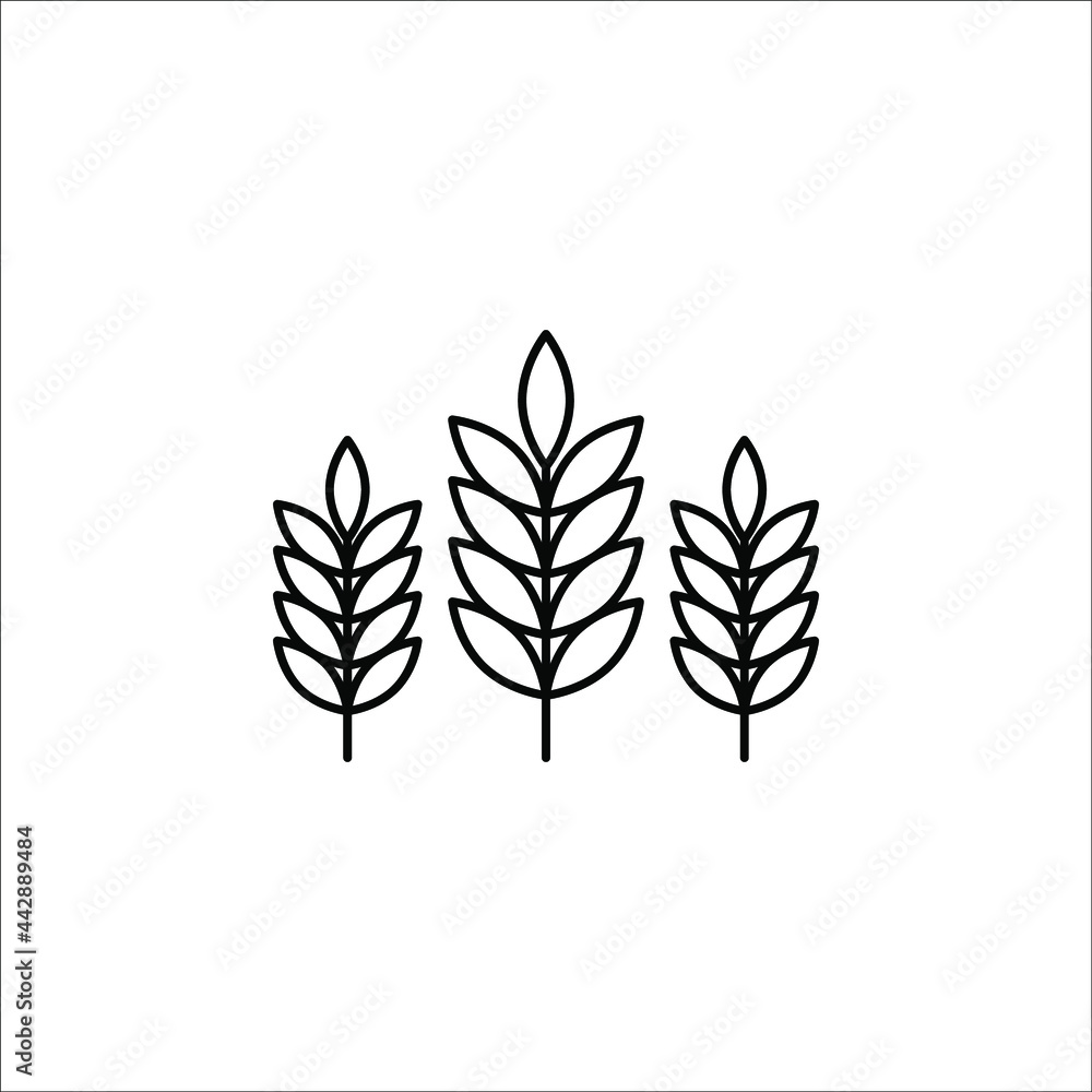 Fototapeta premium Farm wheat ears icon vector template on white background