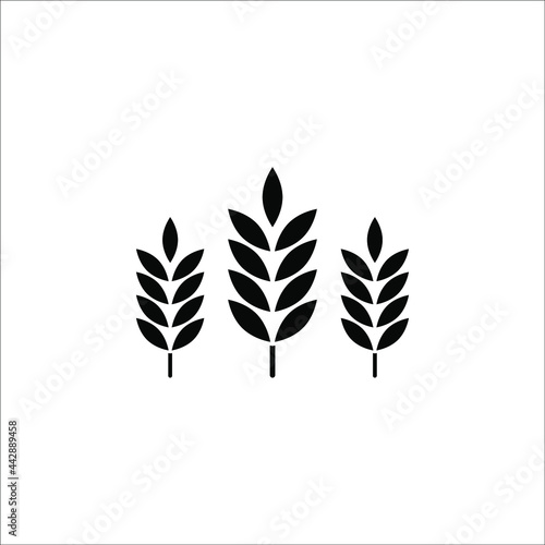 Farm wheat ears icon vector template on white background