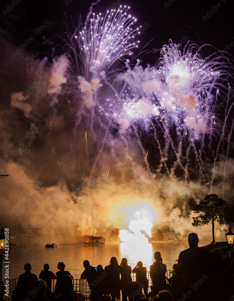 Fireworks in the night. Orlando, Florida, USA, February 2014