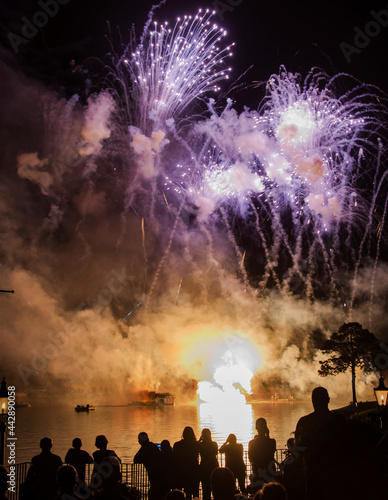 Fireworks in the night. Orlando, Florida, USA, February 2014 © Wagner