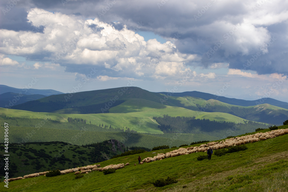 Landscape on the Transalpina, Romania
