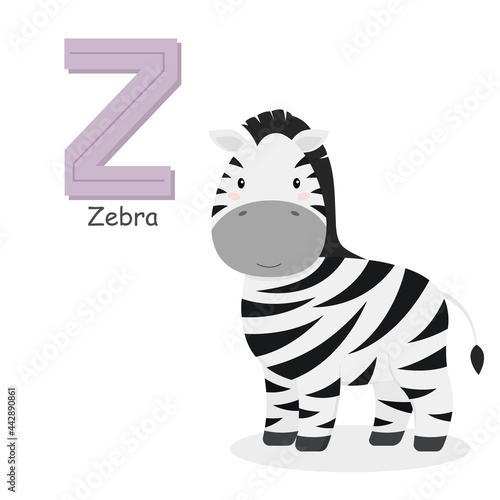 Fototapeta Naklejka Na Ścianę i Meble -  Letter Z and a cute cartoon zebra. Children's English alphabet. It is suitable for the design of postcards, books, leaflets, banners, birthday invitations. Colorful vector illustration