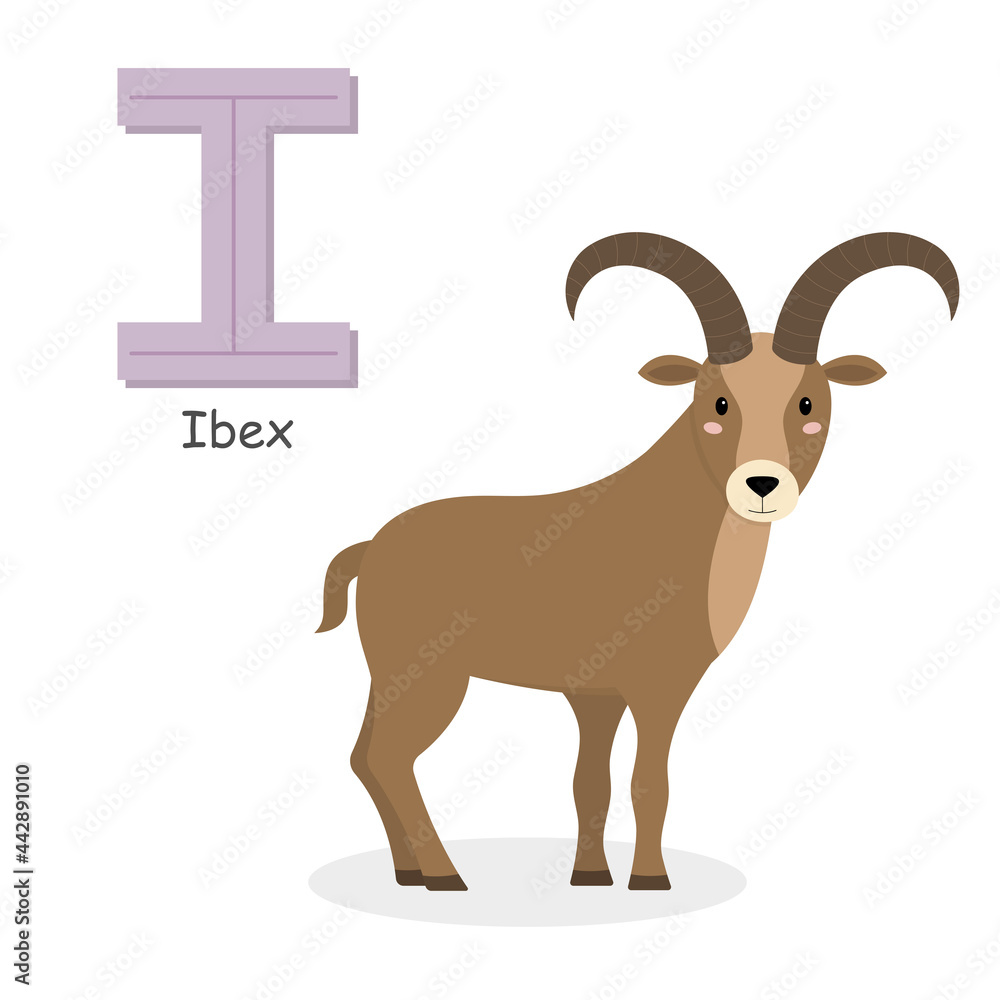 Obraz premium Letter I and a cute cartoon ibex. Children's English alphabet. It is suitable for the design of postcards, books, leaflets, banners, birthday invitations. Colorful vector illustration