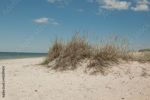 Fototapeta Naklejka Na Ścianę i Meble -  deserted sea coast against a blue sky in the summer
