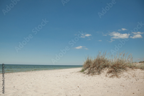 deserted sea coast against a blue sky in the summer