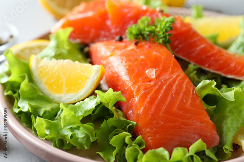 Fresh raw salmon and ingredients for cooking, close up