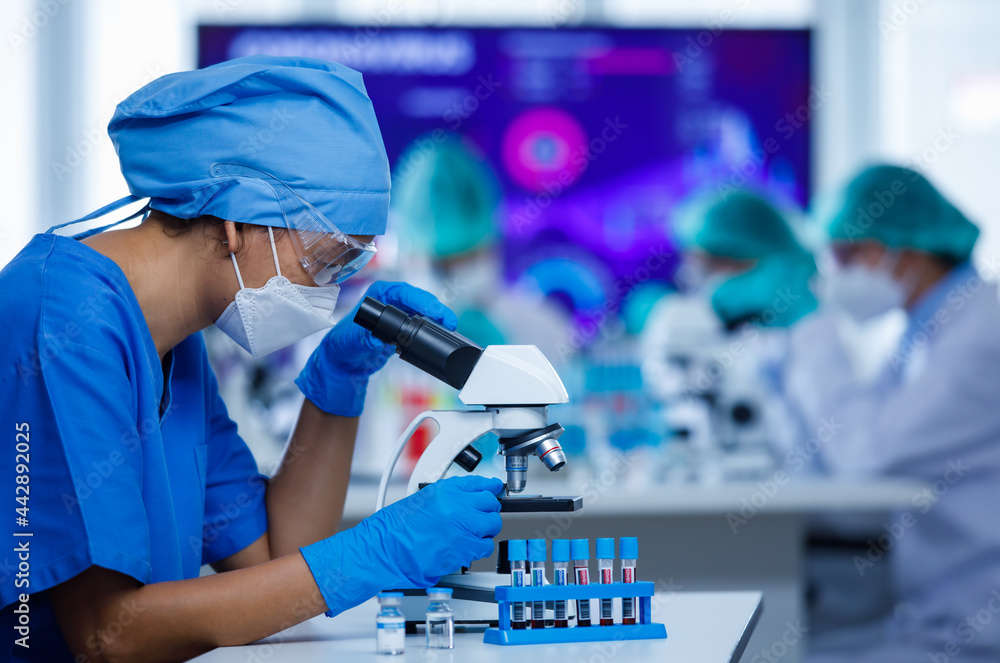 Group of female researchers team concentrated on working with ...