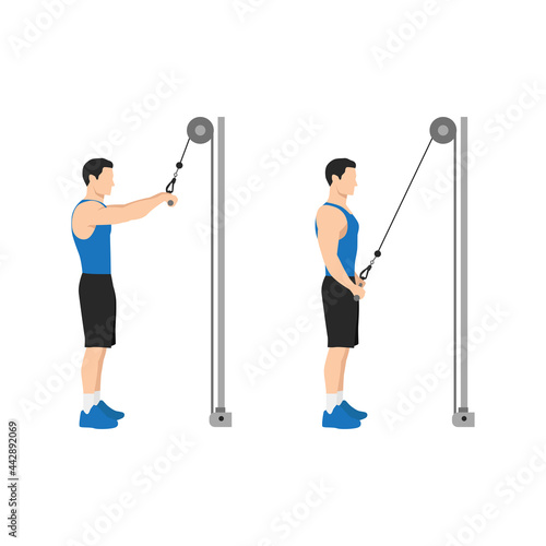Man doing Straight arm pulldowns. pull downs pullovers. exercise. Flat vector illustration isolated on white background