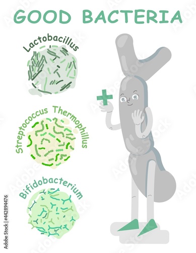 Good bacteria poster with character. Vector illustration