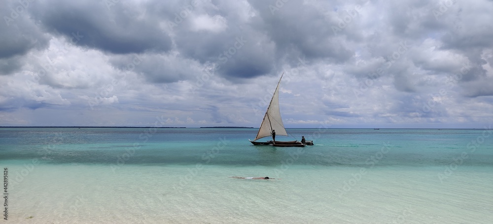 Obraz premium boat on the beach