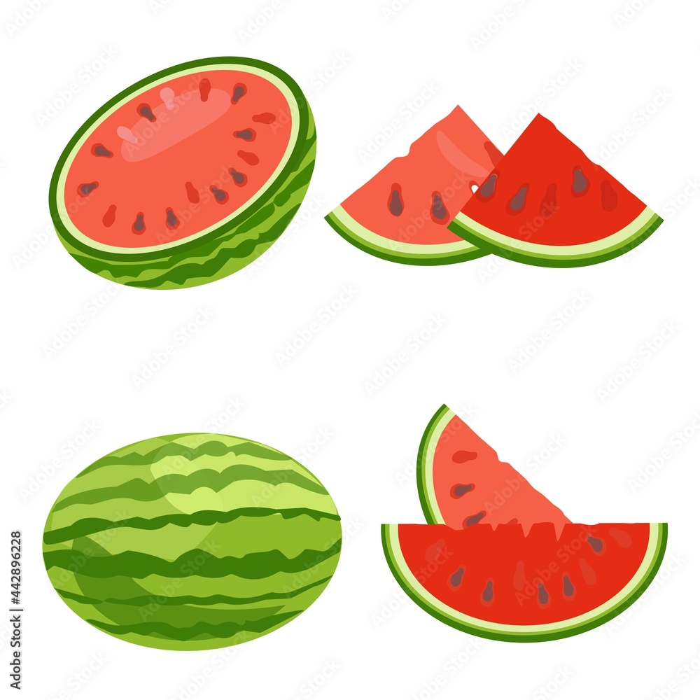 Set watermelon. Whole berries, half and cut into wedges. Vector illustration Set watermelon. Whole berries, half and cut into wedges. Vector illustration