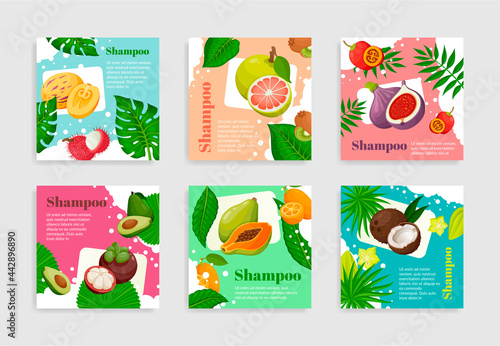 Collection fruits organic shampoo package label vector flat illustration haircare cosmetics product