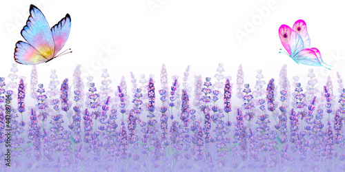 Meadow lavender horizontal background with colorful butterflies.
