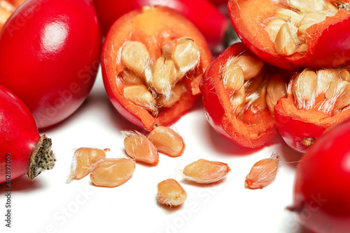 Rosehips ( Rosa Canina fruits ) ,cut in half seeds visible macro closeup detail, isolated on white background photo