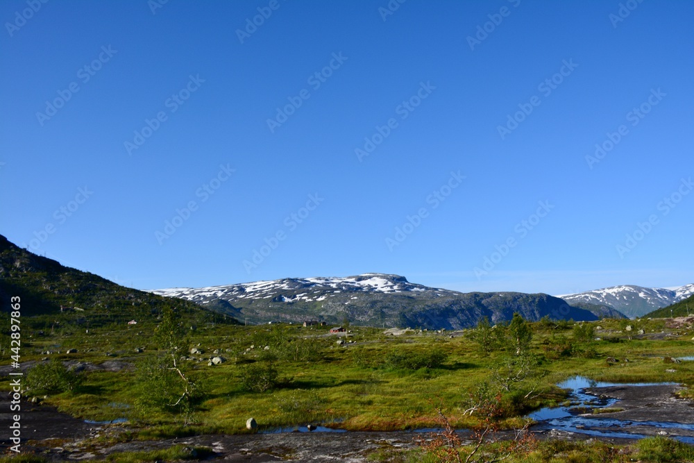 Obraz premium landscape in the summer