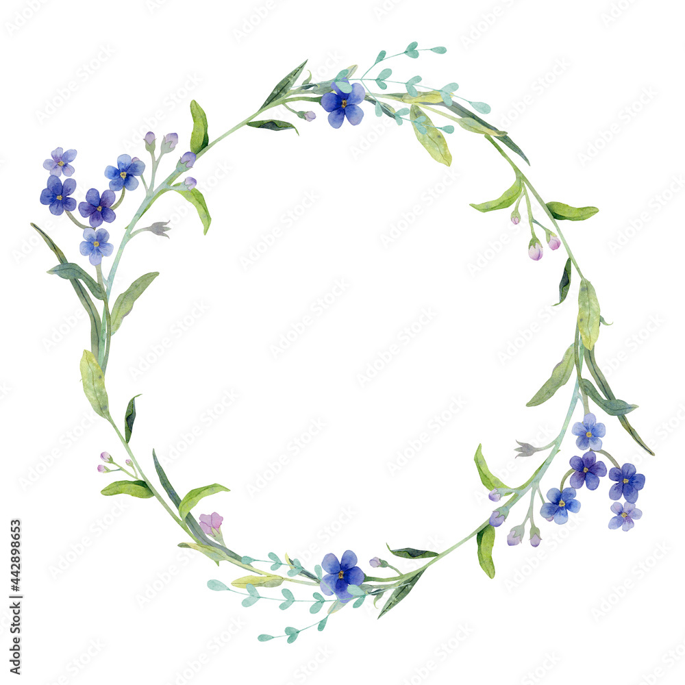 Watercolor floral wreath with blue flowers and herbs on white background. Forget-me-nots.