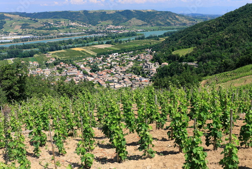 Vallée du Rhône Village traditionnel Vignes vignoble du Côtes du Rhône Auvergne Rhône Alpes France