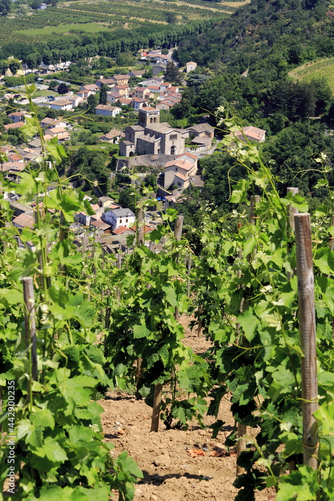 Vallée du Rhône Village traditionnel Vignes vignoble du Côtes du Rhône Auvergne Rhône Alpes France